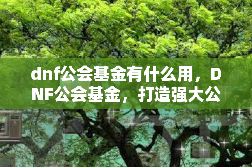 dnf公会基金有什么用,DNF公会基金,打造强大公会,助力玩家成长 dnf公会基金有什么用,DNF公会基金,打造强大公会,助力玩家成长