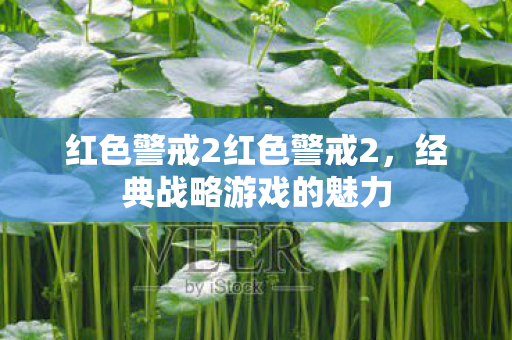 红色警戒2红色警戒2，经典战略游戏的魅力