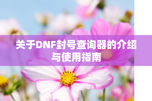 关于DNF封号查询器的介绍与使用指南