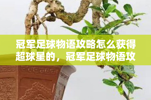 冠军足球物语攻略怎么获得超球星的,冠军足球物语攻略,如何获得超球星 冠军足球物语攻略怎么获得超球星的,冠军足球物语攻略,如何获得超球星