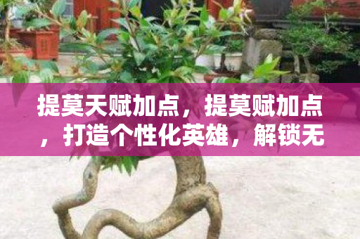 提莫天赋加点,提莫赋加点,打造个性化英雄,解锁无限可能 提莫天赋加点,提莫赋加点,打造个性化英雄,解锁无限可能