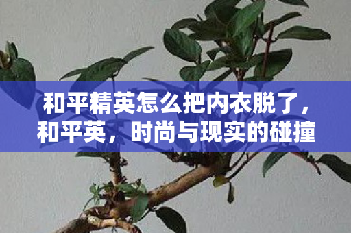 和平精英怎么把内衣脱了，和平英，时尚与现实的碰撞
