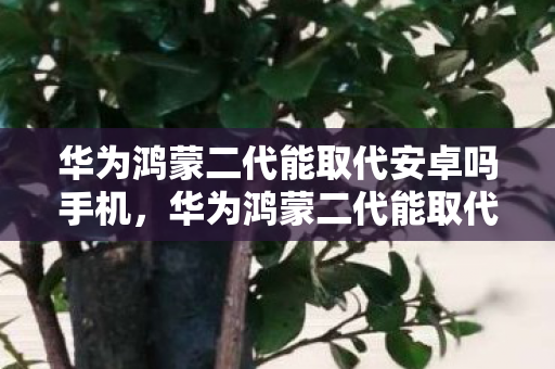 华为鸿蒙二代能取代安卓吗手机，华为鸿蒙二代能取代安卓吗？