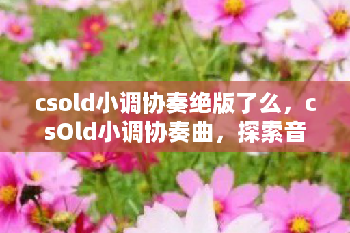 csold小调协奏绝版了么,csOld小调协奏曲,探索音乐与技术的完美融合 csold小调协奏绝版了么,csOld小调协奏曲,探索音乐与技术的完美融合