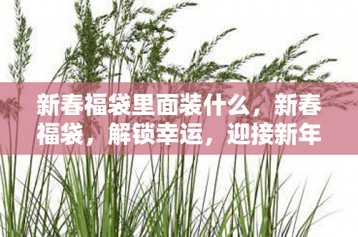 新春福袋里面装什么,新春福袋,解锁幸运,迎接新年 新春福袋里面装什么,新春福袋,解锁幸运,迎接新年