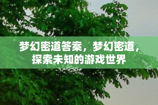 梦幻密道答案,梦幻密道,探索未知的游戏世界 梦幻密道答案,梦幻密道,探索未知的游戏世界