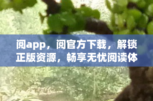 阅app,阅官方下载,解锁正版资源,畅享无忧阅读体验 阅app,阅官方下载,解锁正版资源,畅享无忧阅读体验
