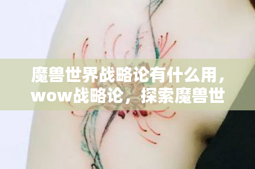 魔兽世界战略论有什么用,wow战略论,探索魔兽世界中的战略与战术 魔兽世界战略论有什么用,wow战略论,探索魔兽世界中的战略与战术