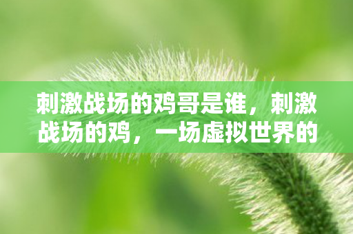 刺激战场的鸡哥是谁,刺激战场的鸡,一场虚拟世界的奇妙冒险 刺激战场的鸡哥是谁,刺激战场的鸡,一场虚拟世界的奇妙冒险