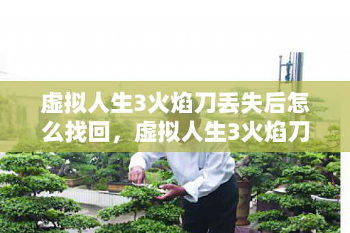 虚拟人生3火焰刀丢失后怎么找回，虚拟人生3火焰刀，探索未知世界的奇幻之旅