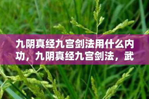 九阴真经九宫剑法用什么内功，九阴真经九宫剑法，武侠世界的奥秘与传承