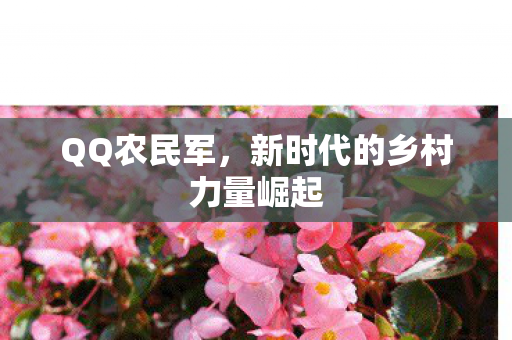 QQ农民军,新时代的乡村力量崛起 QQ农民军,新时代的乡村力量崛起