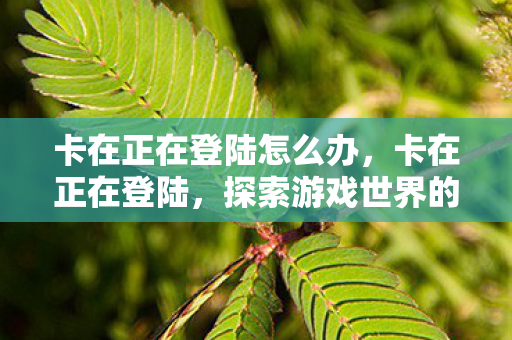 卡在正在登陆怎么办,卡在正在登陆,探索游戏世界的未知边界 卡在正在登陆怎么办,卡在正在登陆,探索游戏世界的未知边界