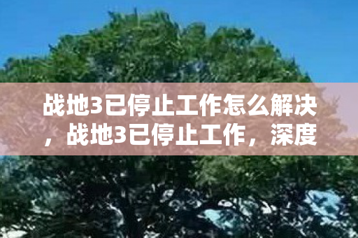战地3已停止工作怎么解决,战地3已停止工作,深度解析游戏停止运行的背后原因 战地3已停止工作怎么解决,战地3已停止工作,深度解析游戏停止运行的背后原因