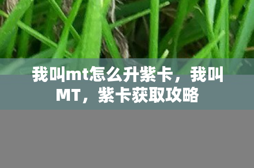 我叫mt怎么升紫卡,我叫MT,紫卡获取攻略 我叫mt怎么升紫卡,我叫MT,紫卡获取攻略