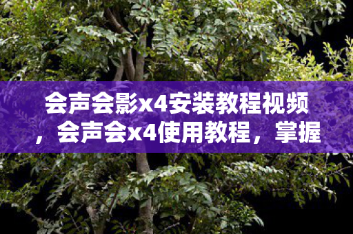 会声会影x4安装教程视频，会声会x4使用教程，掌握视频编辑的必备技能
