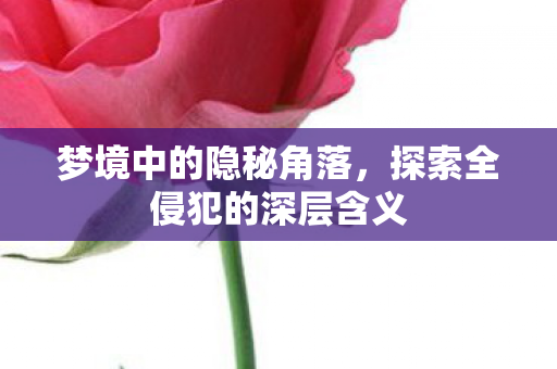 梦境中的隐秘角落，探索全侵犯的深层含义