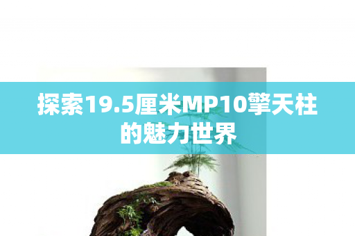探索19.5厘米MP10擎天柱的魅力世界