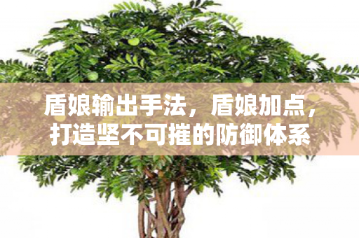 盾娘输出手法，盾娘加点，打造坚不可摧的防御体系