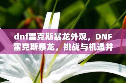 dnf雷克斯暴龙外观,DNF雷克斯暴龙,挑战与机遇并存的冒险之旅 dnf雷克斯暴龙外观,DNF雷克斯暴龙,挑战与机遇并存的冒险之旅