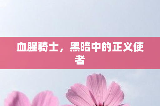 血腥骑士，黑暗中的正义使者