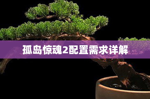 孤岛惊魂2配置需求详解