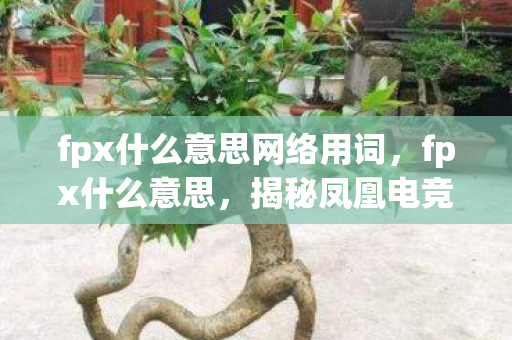 fpx什么意思网络用词，fpx什么意思，揭秘凤凰电竞的崛起之路