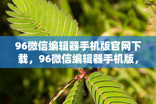 96微信编辑器手机版官网下载,96微信编辑器手机版,打造个性化内容,轻松编辑微信推文 96微信编辑器手机版官网下载,96微信编辑器手机版,打造个性化内容,轻松编辑微信推文