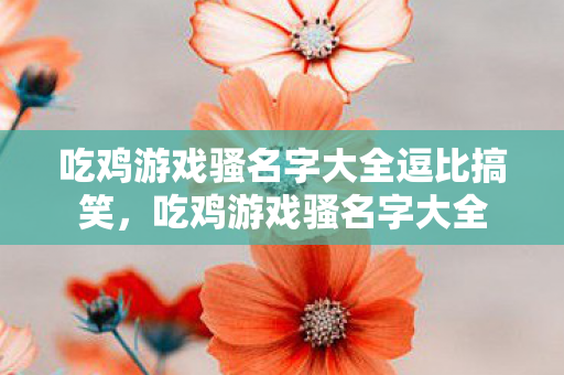 吃鸡游戏骚名字大全逗比搞笑,吃鸡游戏骚名字大全 吃鸡游戏骚名字大全逗比搞笑,吃鸡游戏骚名字大全