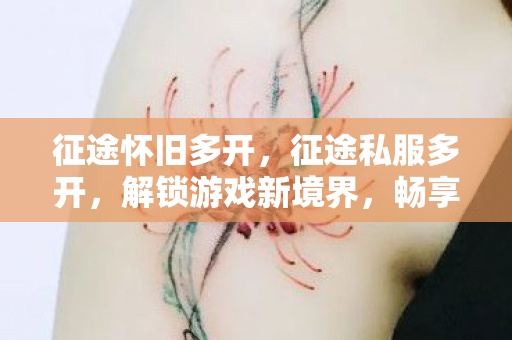 征途怀旧多开,征途私服多开,解锁游戏新境界,畅享无限可能 征途怀旧多开,征途私服多开,解锁游戏新境界,畅享无限可能
