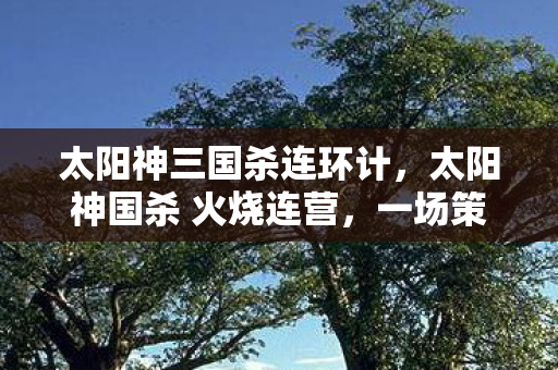 太阳神三国杀连环计，太阳神国杀 火烧连营，一场策略与智慧的较量