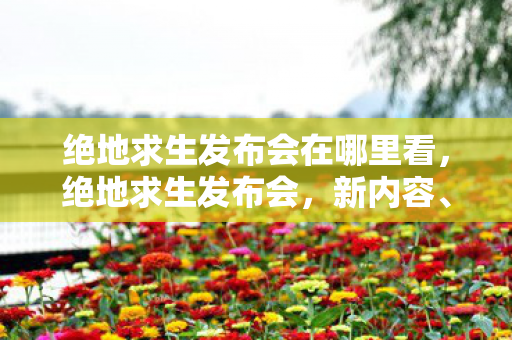 绝地求生发布会在哪里看,绝地求生发布会,新内容、新体验,引领吃鸡新时代 绝地求生发布会在哪里看,绝地求生发布会,新内容、新体验,引领吃鸡新时代
