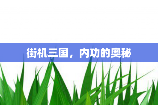 街机三国，内功的奥秘