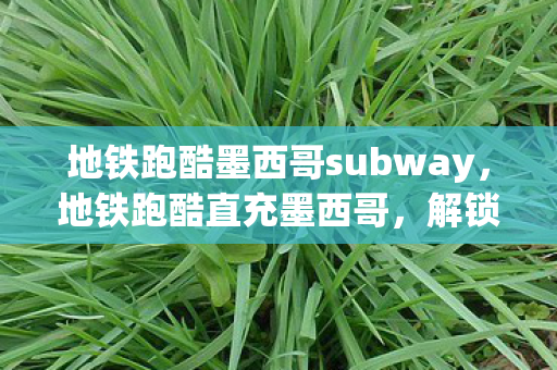 地铁跑酷墨西哥subway，地铁跑酷直充墨西哥，解锁无限金币与钥匙的秘籍