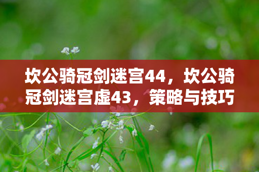 坎公骑冠剑迷宫44,坎公骑冠剑迷宫虚43,策略与技巧的深度解析 坎公骑冠剑迷宫44,坎公骑冠剑迷宫虚43,策略与技巧的深度解析