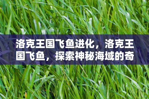 洛克王国飞鱼进化,洛克王国飞鱼,探索神秘海域的奇幻之旅 洛克王国飞鱼进化,洛克王国飞鱼,探索神秘海域的奇幻之旅