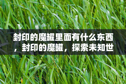 封印的魔罐里面有什么东西,封印的魔罐,探索未知世界的奇幻之旅 封印的魔罐里面有什么东西,封印的魔罐,探索未知世界的奇幻之旅