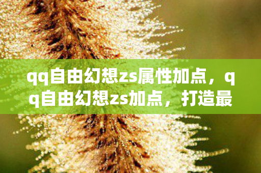 qq自由幻想zs属性加点，qq自由幻想zs加点，打造最强战士的加点攻略