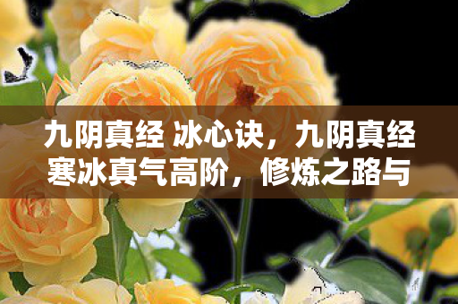 九阴真经 冰心诀,九阴真经寒冰真气高阶,修炼之路与实战应用 九阴真经 冰心诀,九阴真经寒冰真气高阶,修炼之路与实战应用