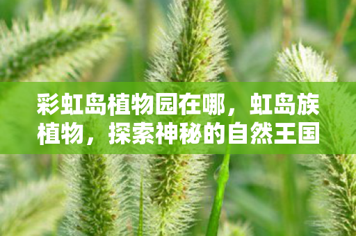 彩虹岛植物园在哪,虹岛族植物,探索神秘的自然王国 彩虹岛植物园在哪,虹岛族植物,探索神秘的自然王国