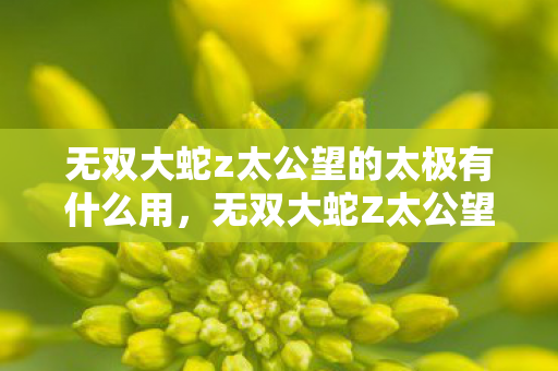 无双大蛇z太公望的太极有什么用,无双大蛇Z太公望,策略与智慧的化身 无双大蛇z太公望的太极有什么用,无双大蛇Z太公望,策略与智慧的化身