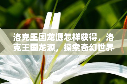 洛克王国龙源怎样获得，洛克王国龙源，探索奇幻世界的无尽冒险
