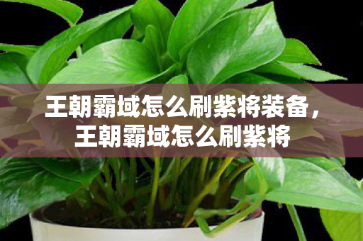 王朝霸域怎么刷紫将装备,王朝霸域怎么刷紫将 王朝霸域怎么刷紫将装备,王朝霸域怎么刷紫将