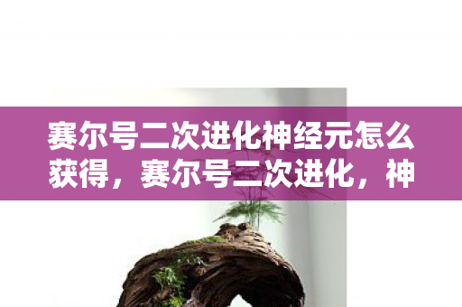 赛尔号二次进化神经元怎么获得,赛尔号二次进化,神经元的奥秘与游戏新纪元 赛尔号二次进化神经元怎么获得,赛尔号二次进化,神经元的奥秘与游戏新纪元