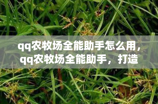 qq农牧场全能助手怎么用，qq农牧场全能助手，打造高效农牧场管理的秘密武器