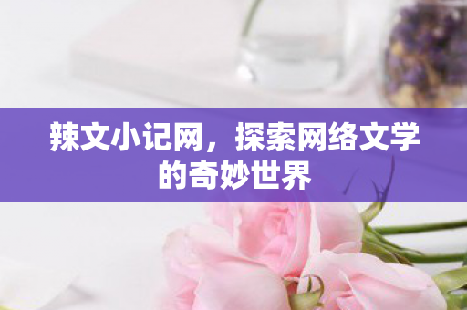 辣文小记网,探索网络文学的奇妙世界 辣文小记网,探索网络文学的奇妙世界