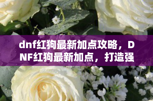 dnf红狗最新加点攻略,DNF红狗最新加点,打造强势战斗力的关键 dnf红狗最新加点攻略,DNF红狗最新加点,打造强势战斗力的关键