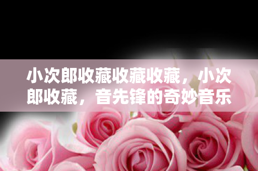 小次郎收藏收藏收藏,小次郎收藏,音先锋的奇妙音乐之旅 小次郎收藏收藏收藏,小次郎收藏,音先锋的奇妙音乐之旅