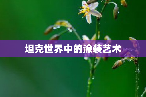 坦克世界中的涂装艺术