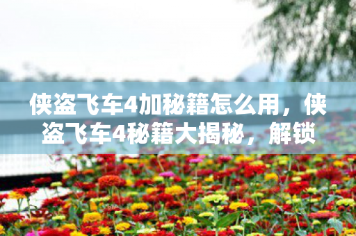 侠盗飞车4加秘籍怎么用,侠盗飞车4秘籍大揭秘,解锁无限可能 侠盗飞车4加秘籍怎么用,侠盗飞车4秘籍大揭秘,解锁无限可能